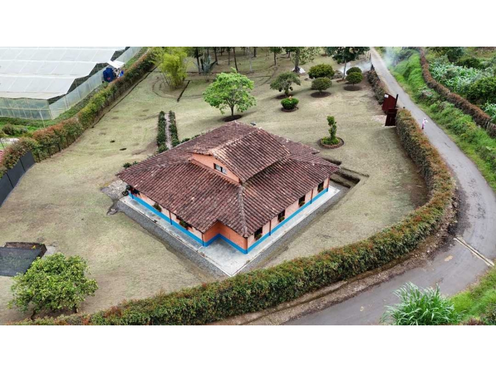 Finca en San Vicente de Ferrer - 5