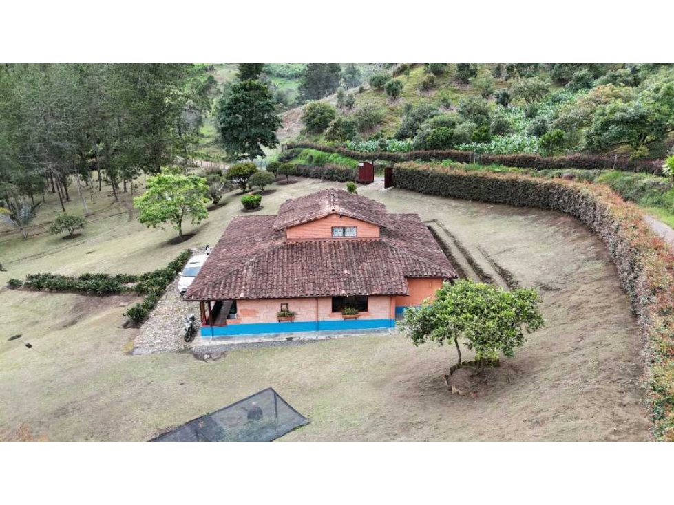 Finca en San Vicente de Ferrer - 2