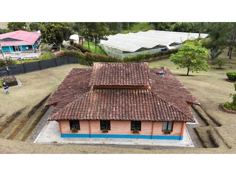 Finca en San Vicente de Ferrer - 4