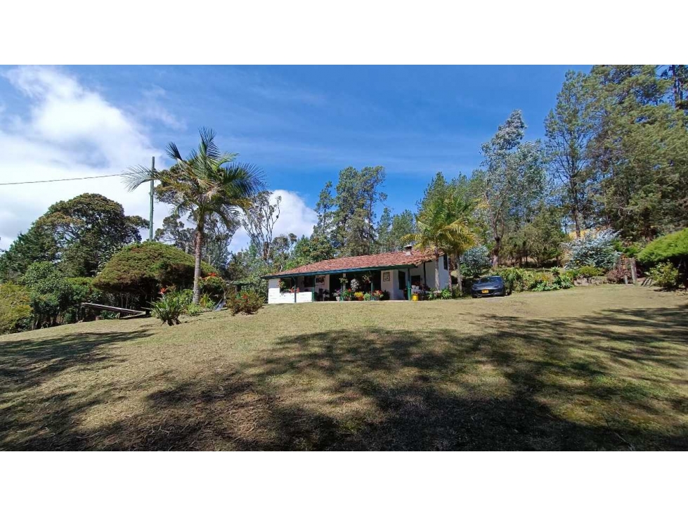 Finca en Santa Elena vereda vereda Piedra gorda ideal para loteo