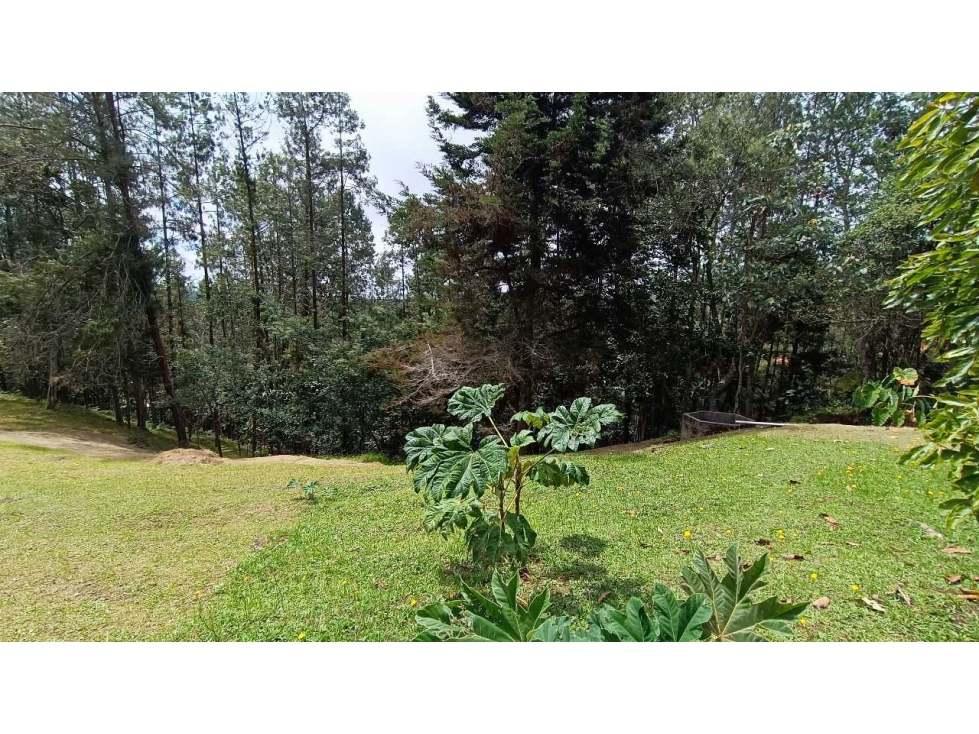 Finca en Santa Elena vereda vereda Piedra gorda ideal para loteo — foto 6