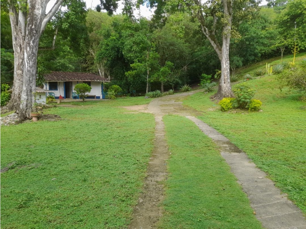 Finca en sopetran - se vende - occidente — foto 6