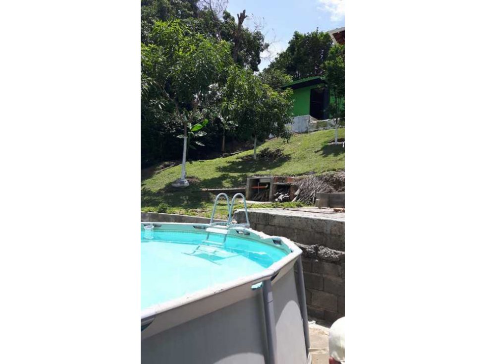 Finca en Venecia — foto 4