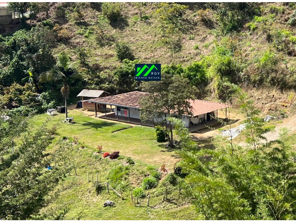 FINCA EN VENT EN SAN VICENTE | 3.900 M2| 450 MILLONES | ESCRITURA 100%