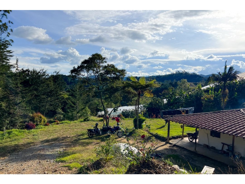 FINCA EN VENT EN SAN VICENTE | 3.900 M2| 450 MILLONES | ESCRITURA 100% — foto 2