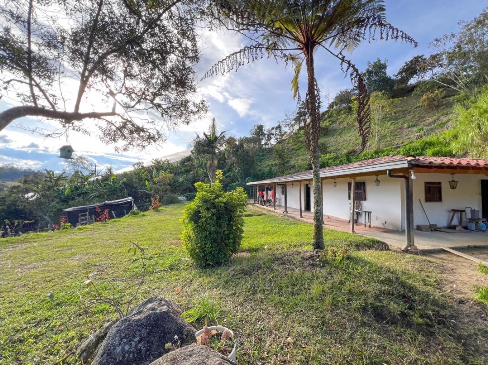 FINCA EN VENT EN SAN VICENTE | 3.900 M2| 450 MILLONES | ESCRITURA 100% — foto 4