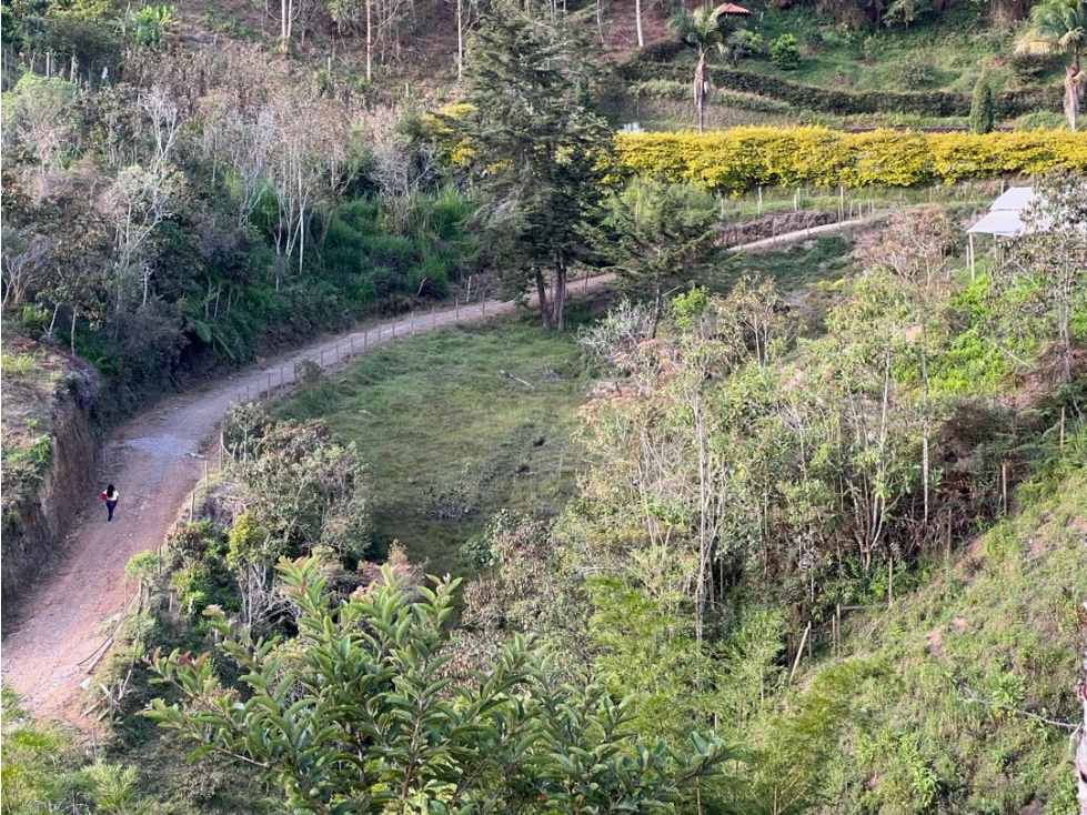 FINCA EN VENT EN SAN VICENTE | 3.900 M2| 450 MILLONES | ESCRITURA 100% — foto 6