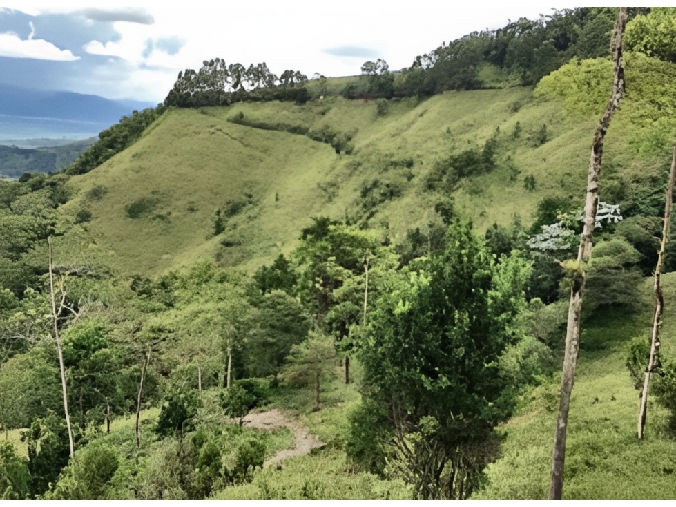 Finca en venta - Ansermanuevo - 1