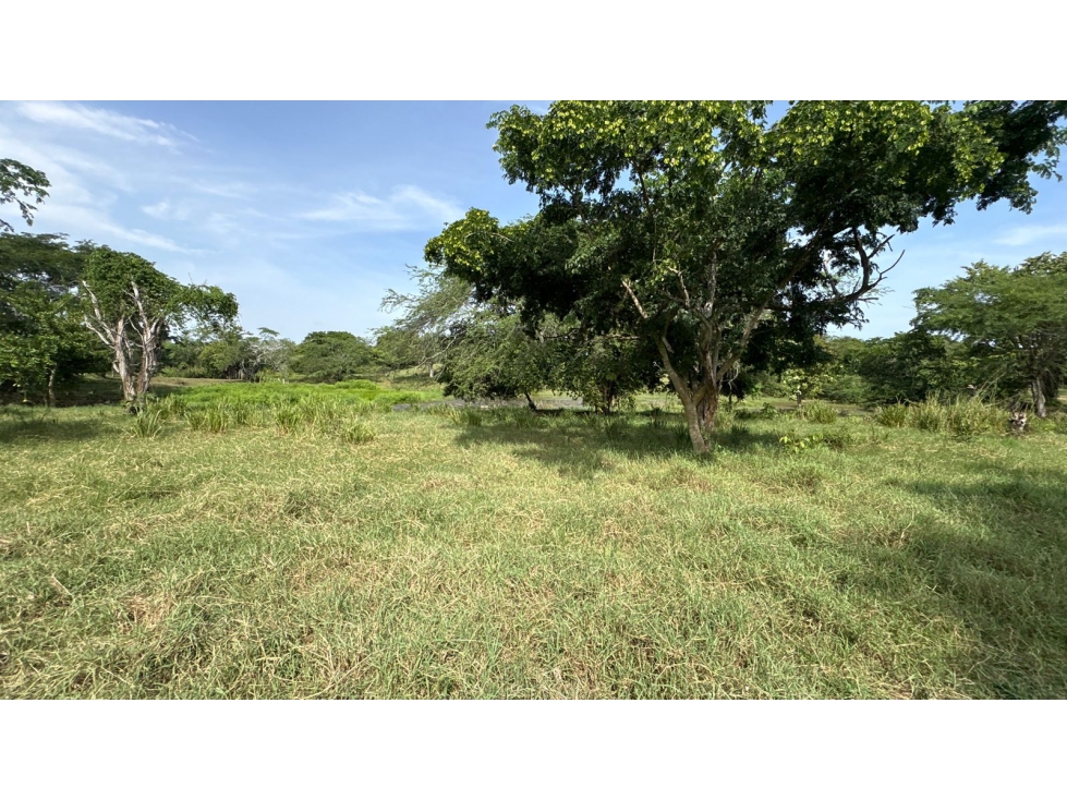 Finca en Venta - Bolívar El Guamo - 1