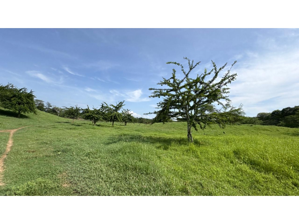 Finca en Venta - Bolívar El Guamo - 2