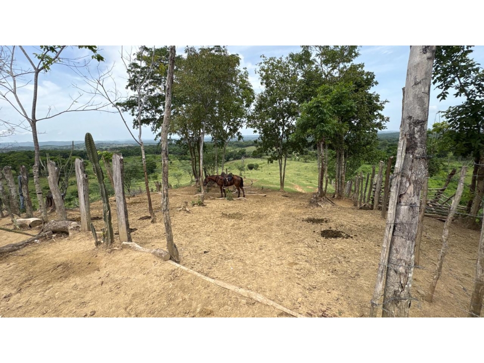 Finca en Venta - Bolívar El Guamo - 3