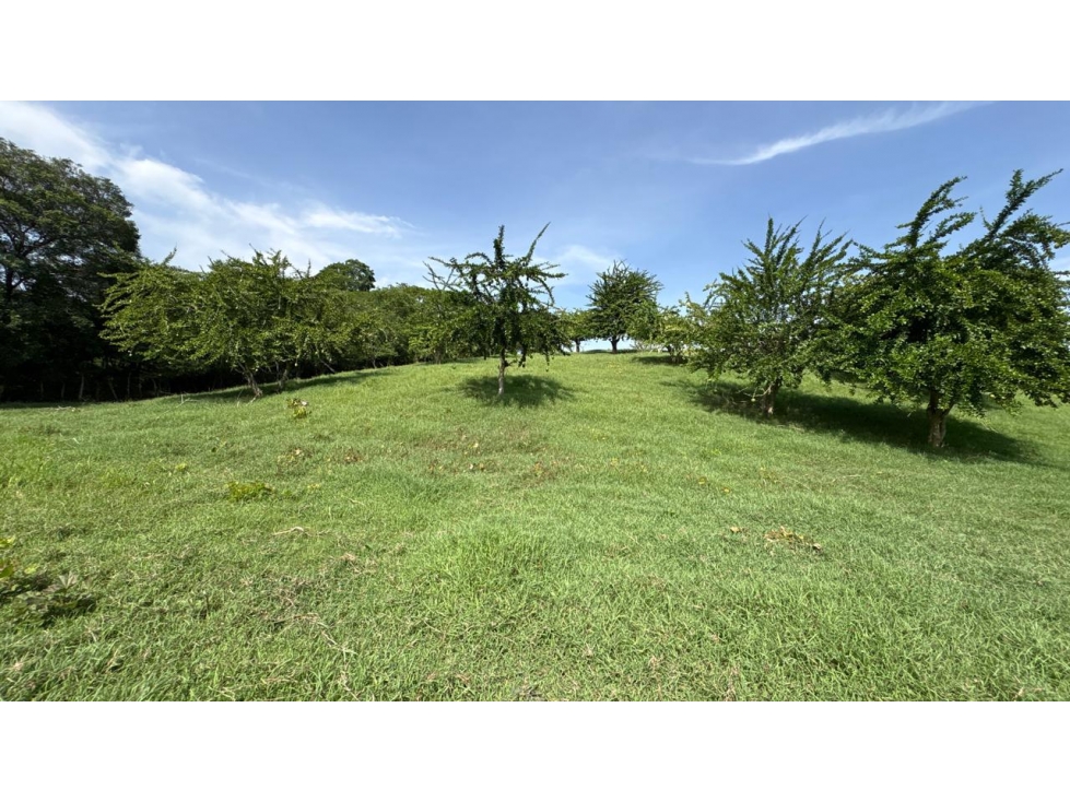 Finca en Venta - Bolívar El Guamo - 4