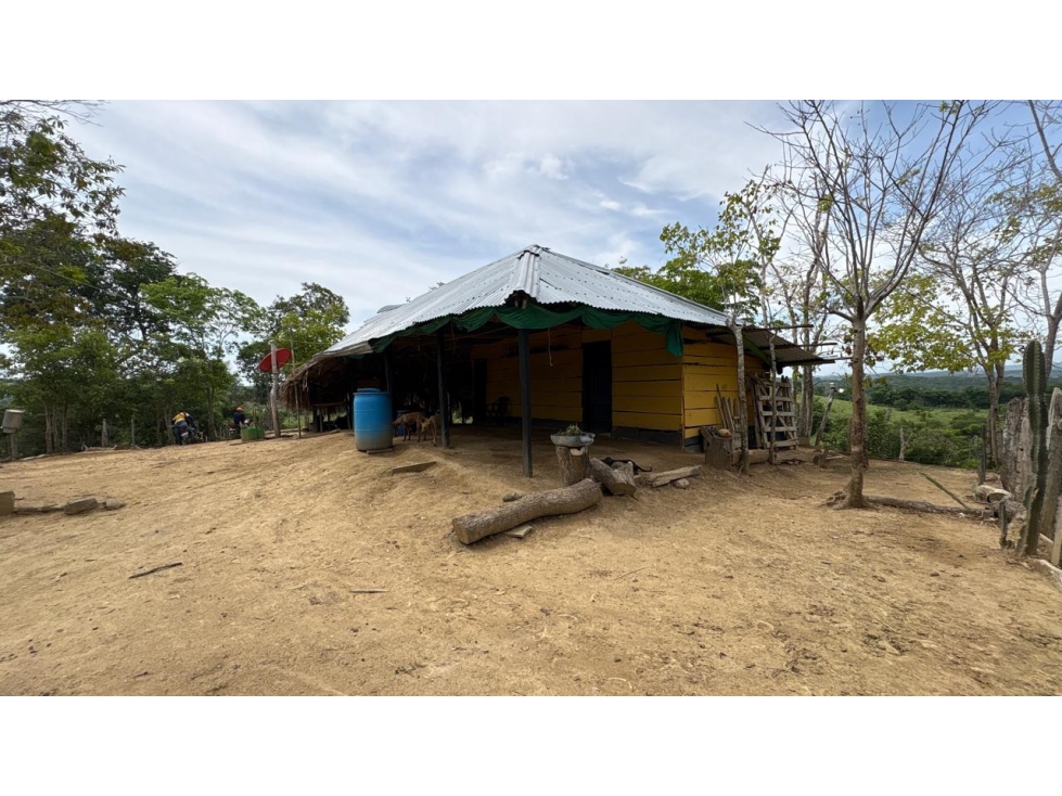 Finca en Venta - Bolívar El Guamo - 5