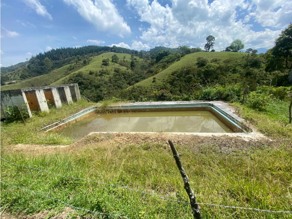 Finca en venta - Caldas, Antioquia - 1
