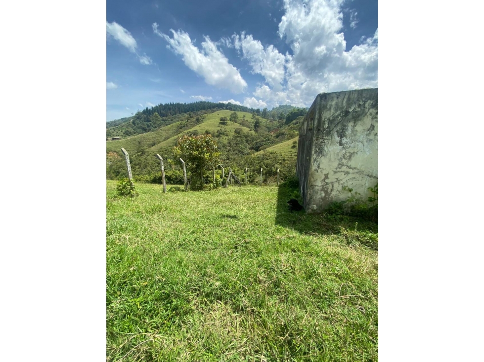 Finca en venta - Caldas, Antioquia - 2
