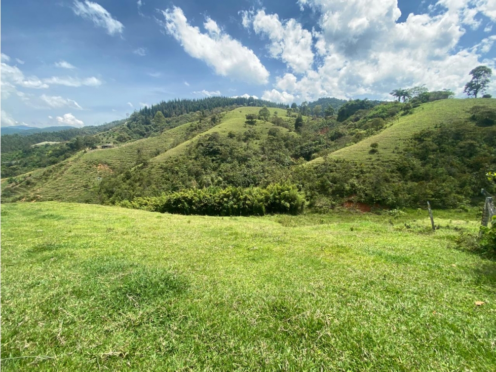 Finca en venta - Caldas, Antioquia - 3