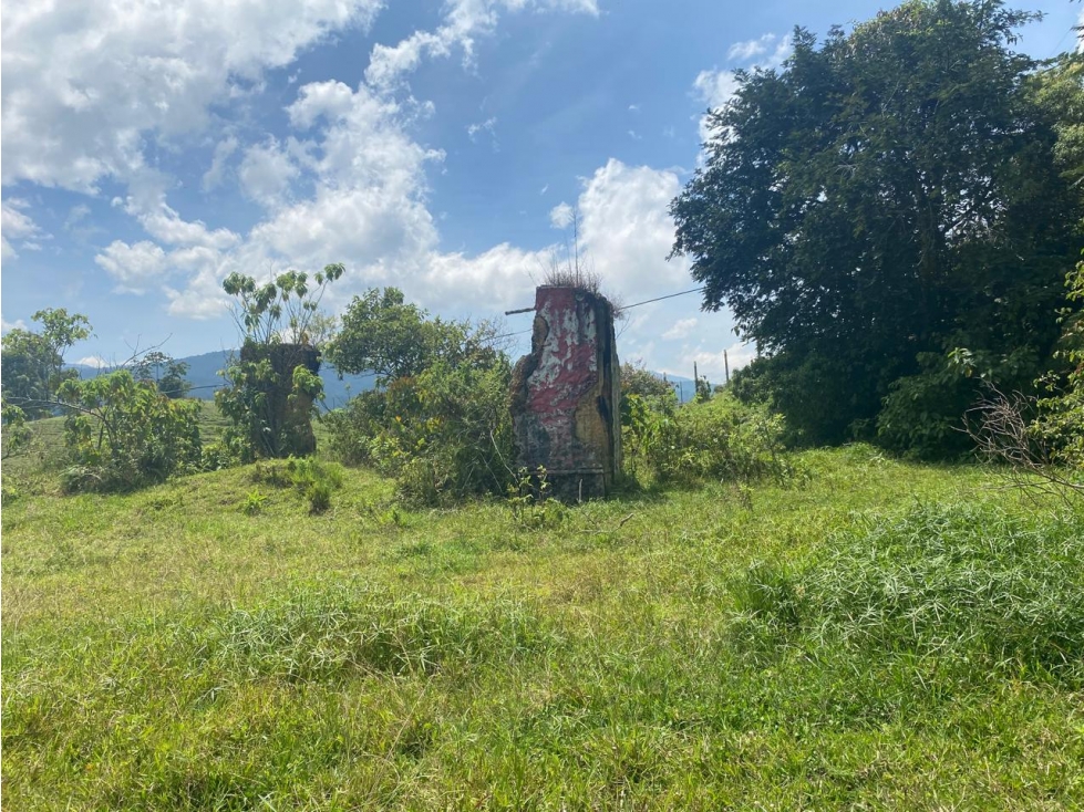 Finca en venta - Caldas, Antioquia - 4