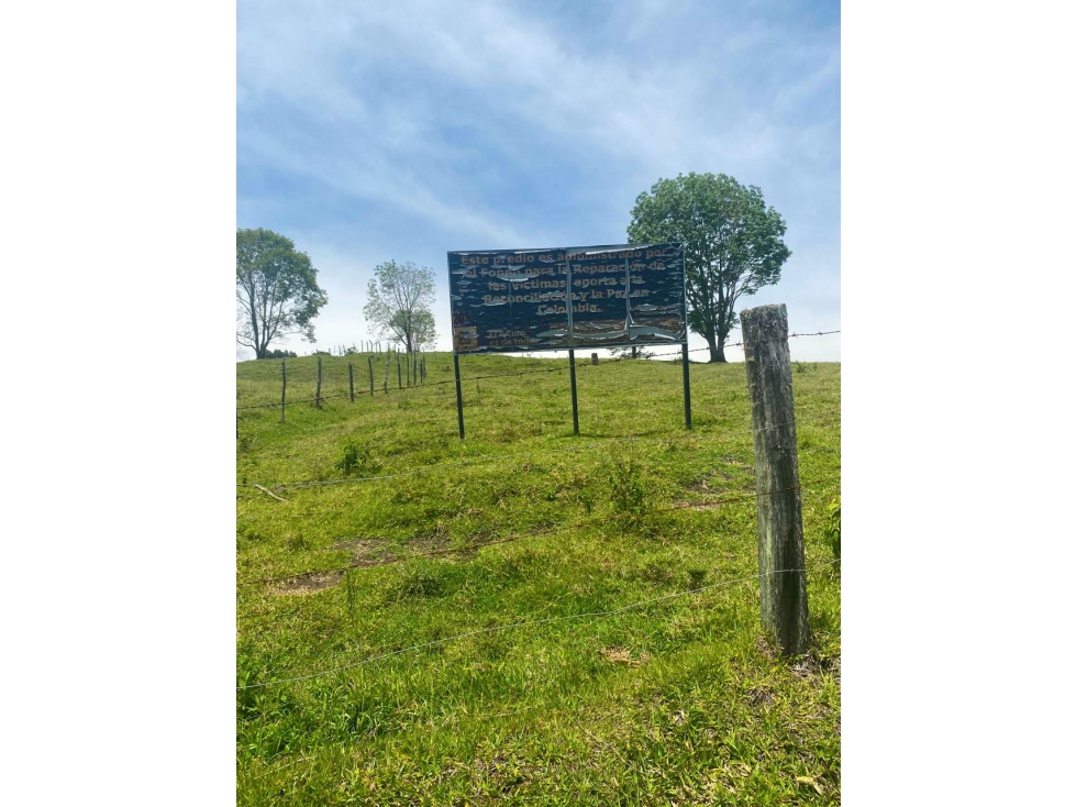 Finca en Venta - Caldas, Antioquia - 1