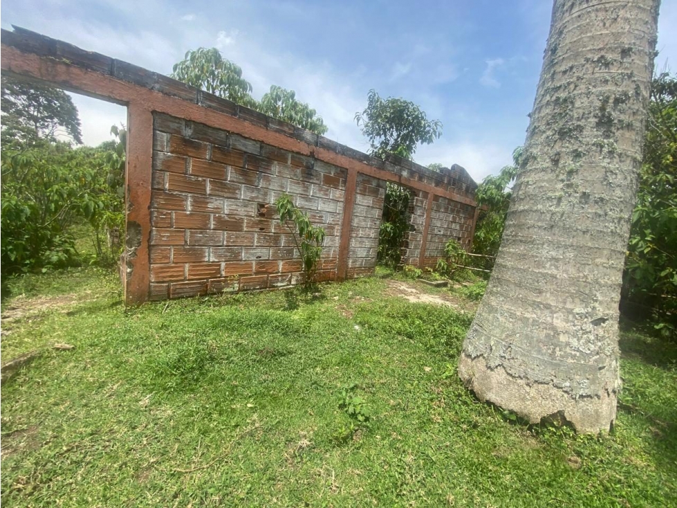 Finca en Venta - Caldas, Antioquia - 3