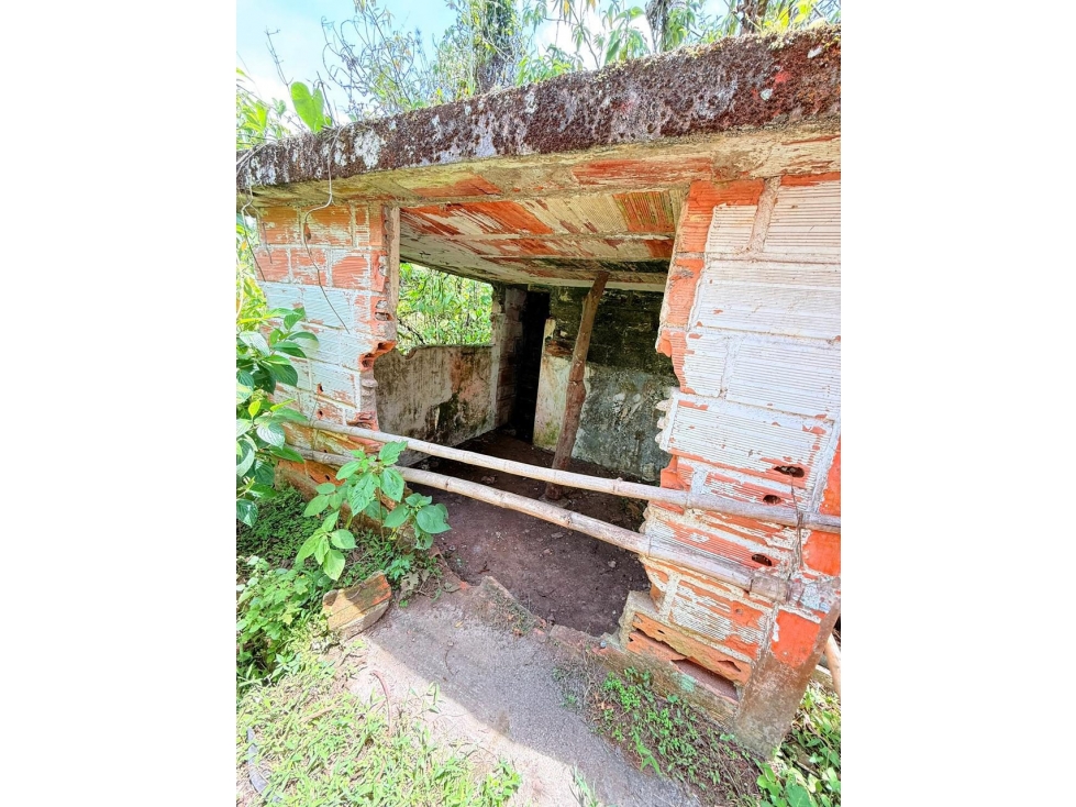 Finca en Venta - Caldas, Antioquia - 6
