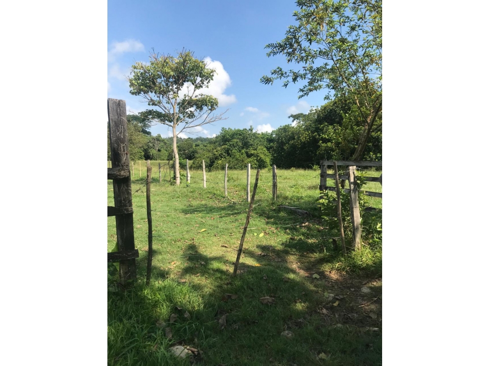 Finca en Venta - Caldas, Norcasia - 1
