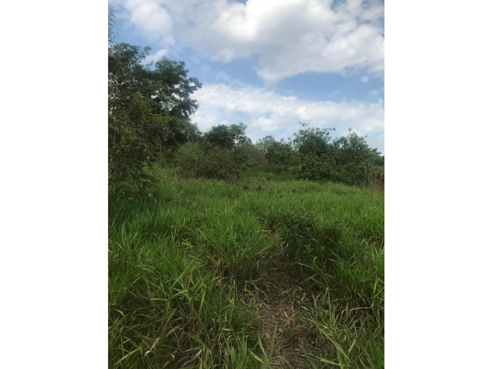 Finca en Venta - Caldas, Norcasia - 3