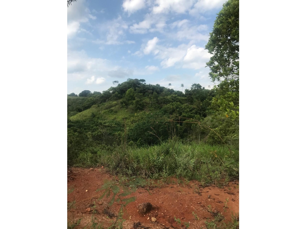 Finca en Venta - Caldas, Norcasia - 4