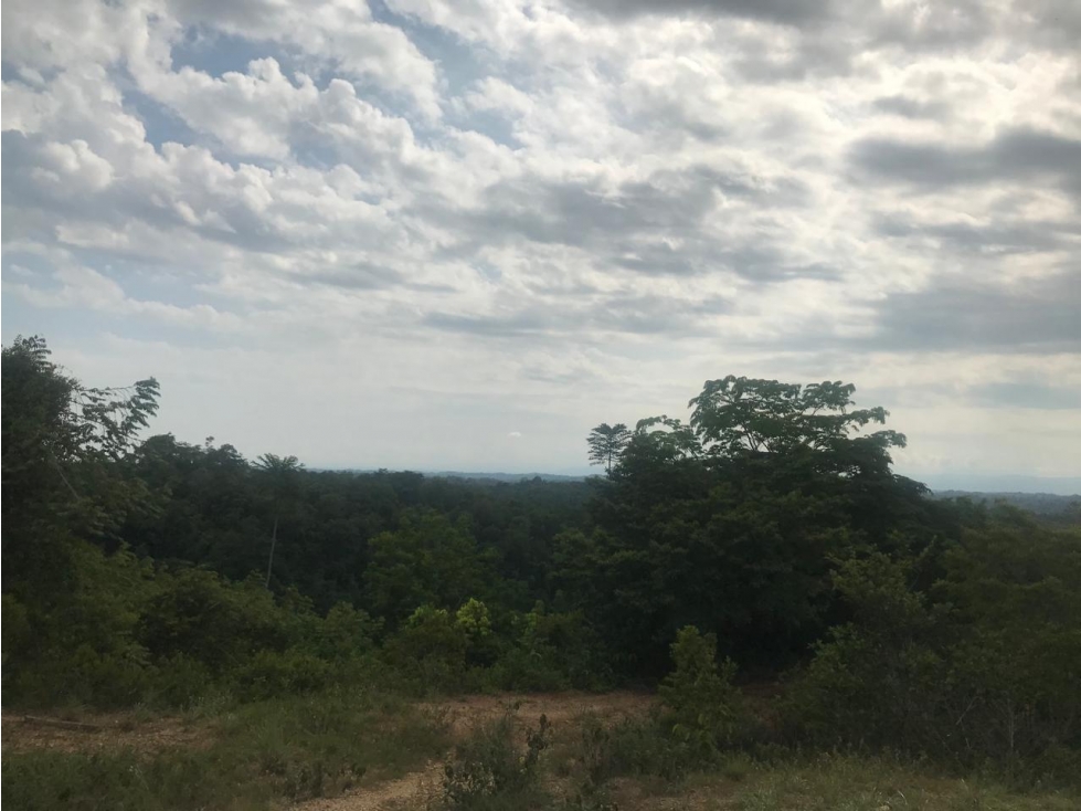 Finca en Venta - Caldas, Norcasia - 6