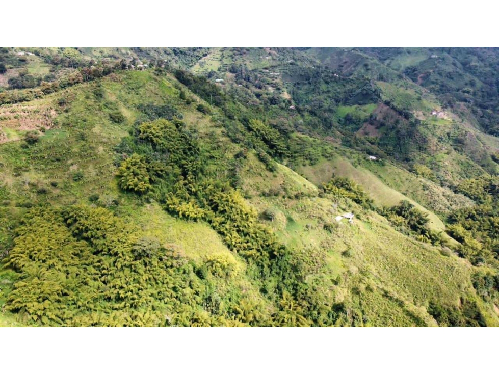 FINCA EN VENTA CORDOBA QUINDIO 37Ha