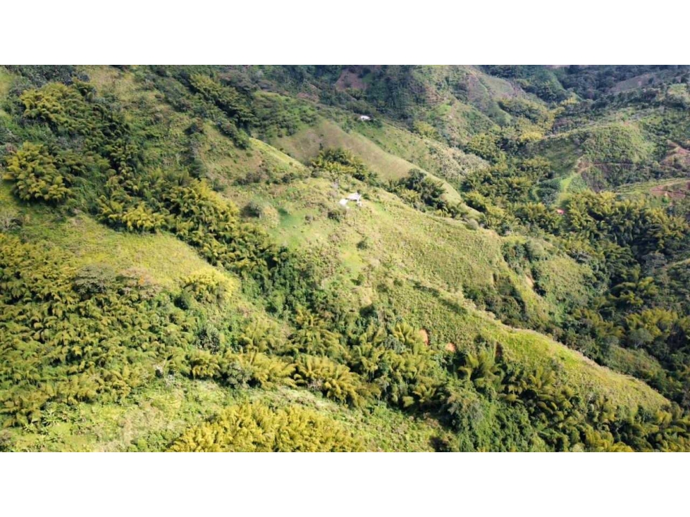 FINCA EN VENTA CORDOBA QUINDIO 37Ha — foto 2