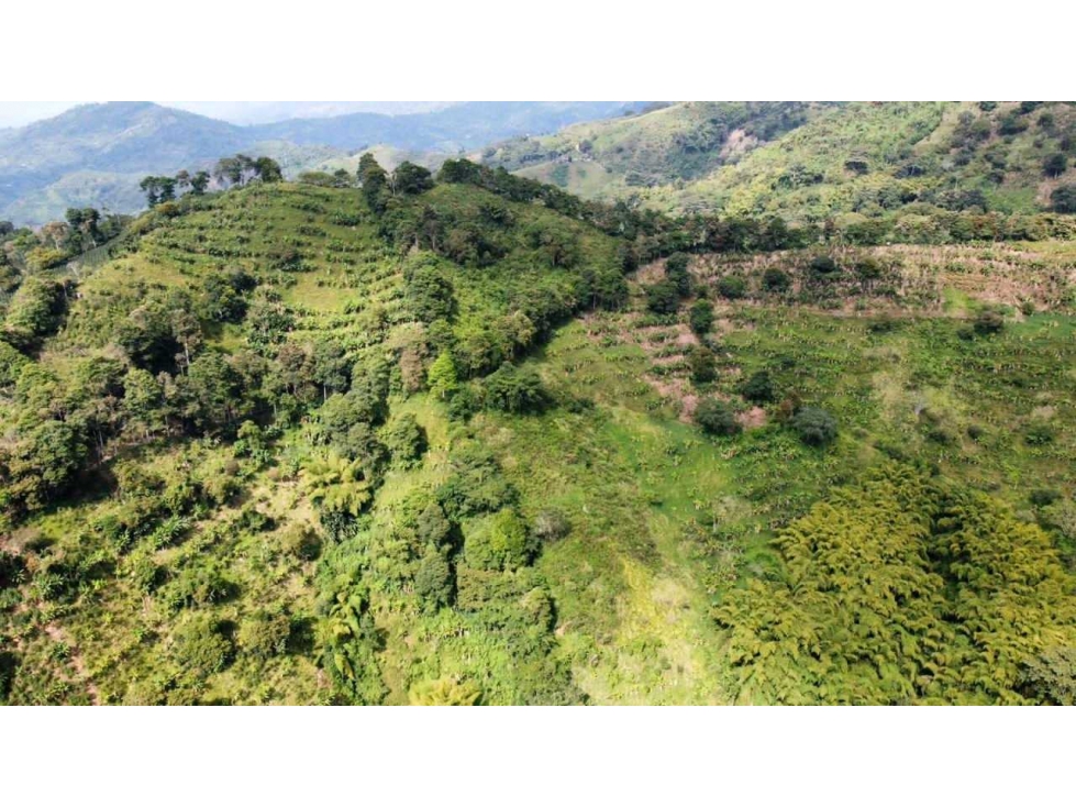 FINCA EN VENTA CORDOBA QUINDIO 37Ha — foto 3