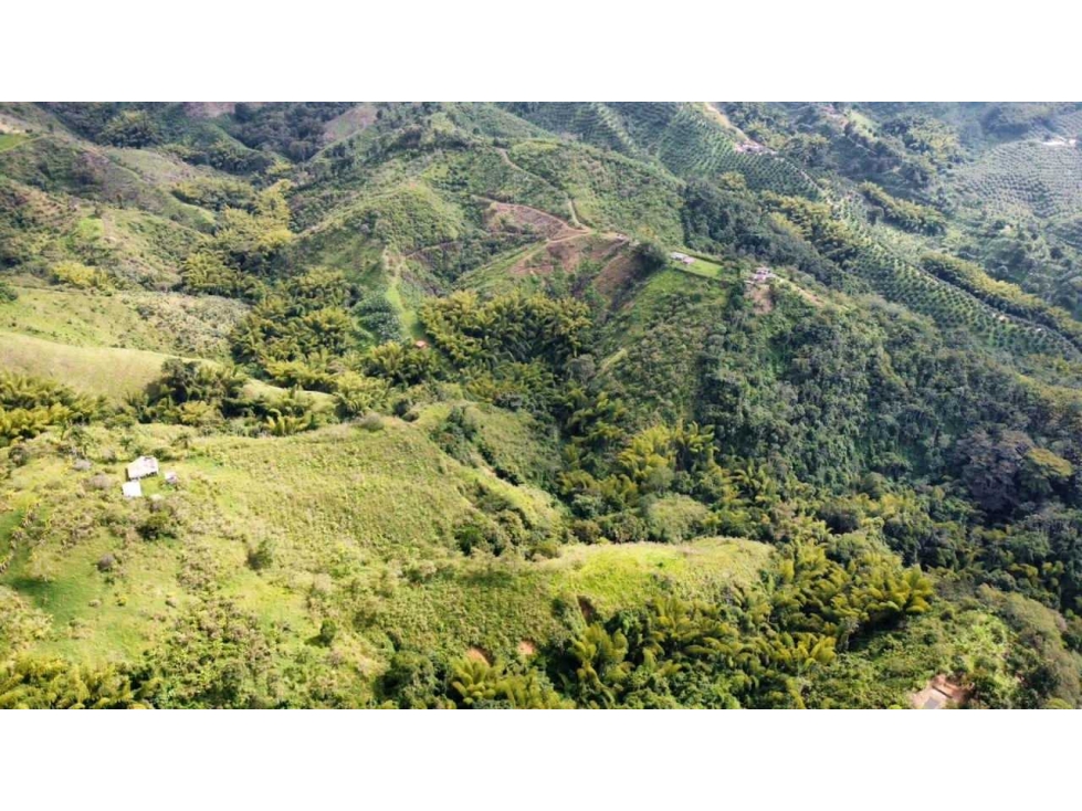FINCA EN VENTA CORDOBA QUINDIO 37Ha — foto 4
