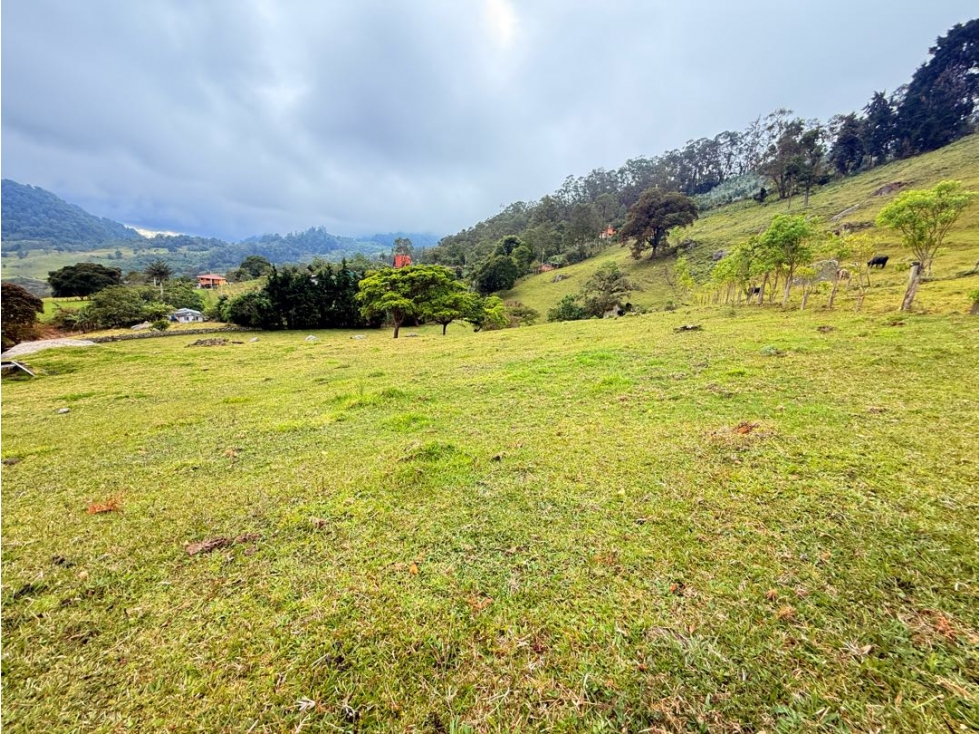 FINCA EN VENTA DE 3/5 FANEGADAS EN TENA C. - 1