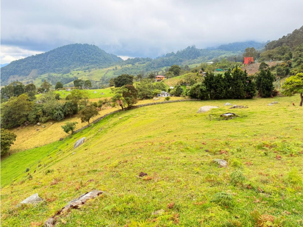 FINCA EN VENTA DE 3/5 FANEGADAS EN TENA C. - 3