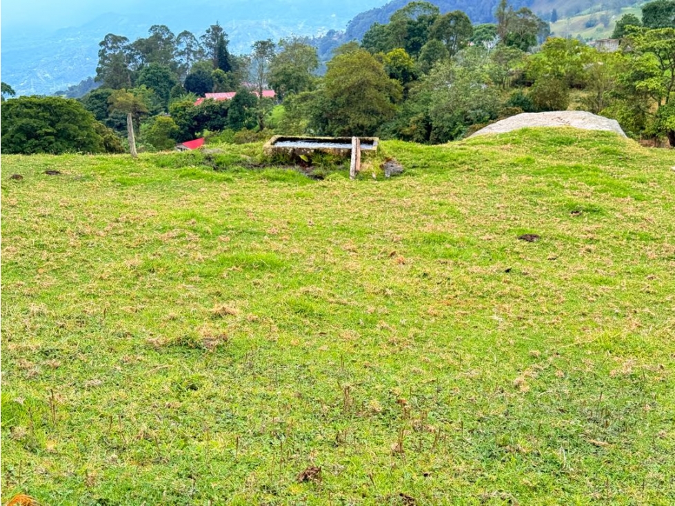 FINCA EN VENTA DE 3/5 FANEGADAS EN TENA C. - 4
