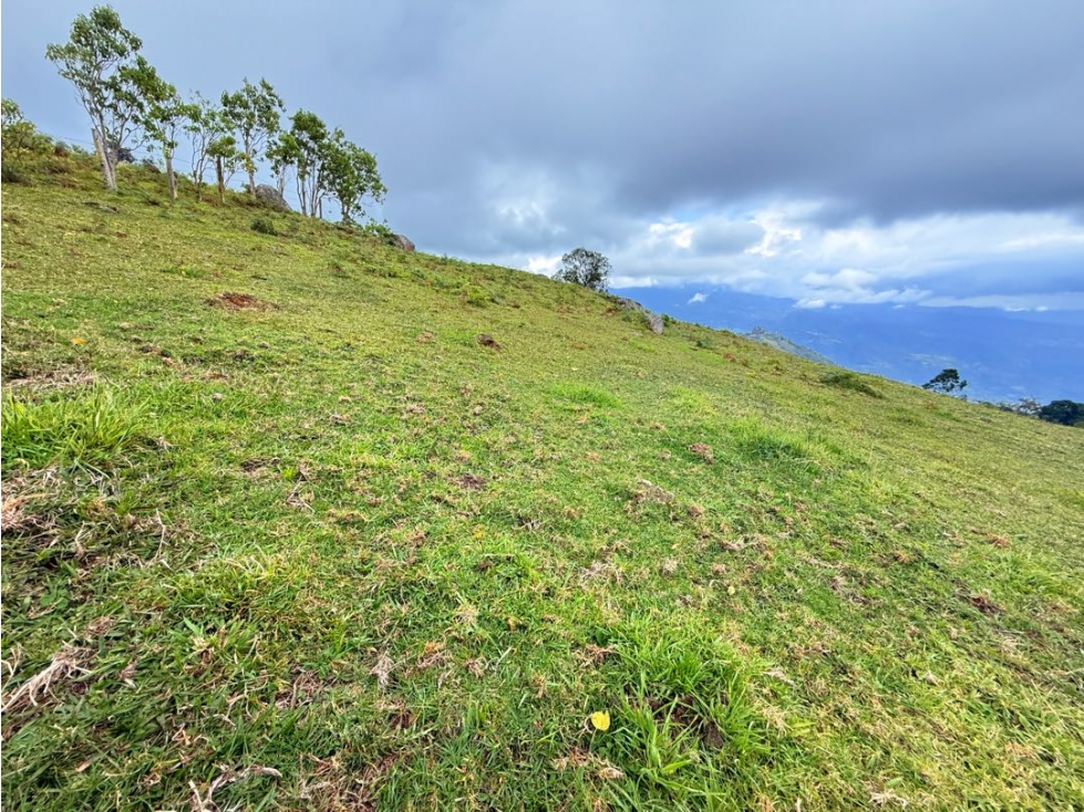 FINCA EN VENTA DE 3/5 FANEGADAS EN TENA C. - 6