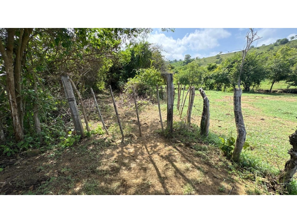 Finca en Venta - El Guamo, Bolívar - 1