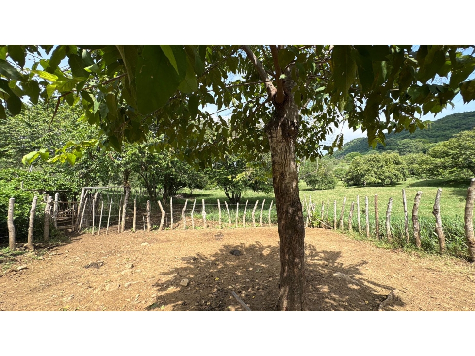 Finca en Venta - El Guamo, Bolívar - 2