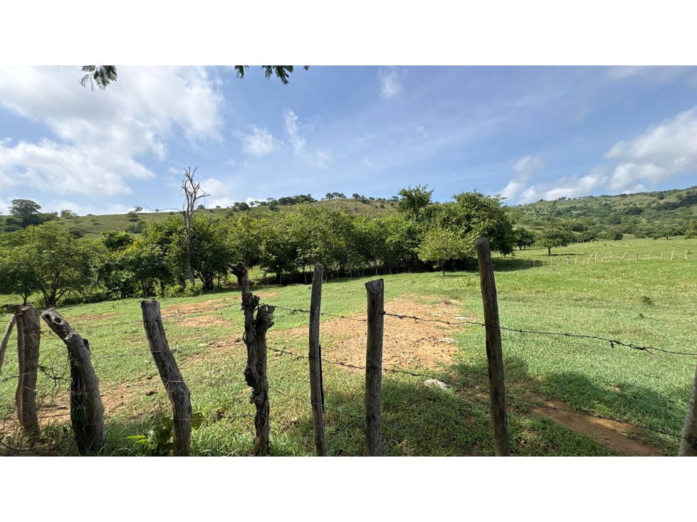 Finca en Venta - El Guamo, Bolívar - 4