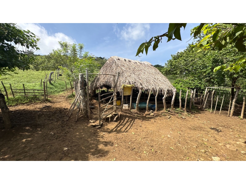 Finca en Venta - El Guamo, Bolívar - 5