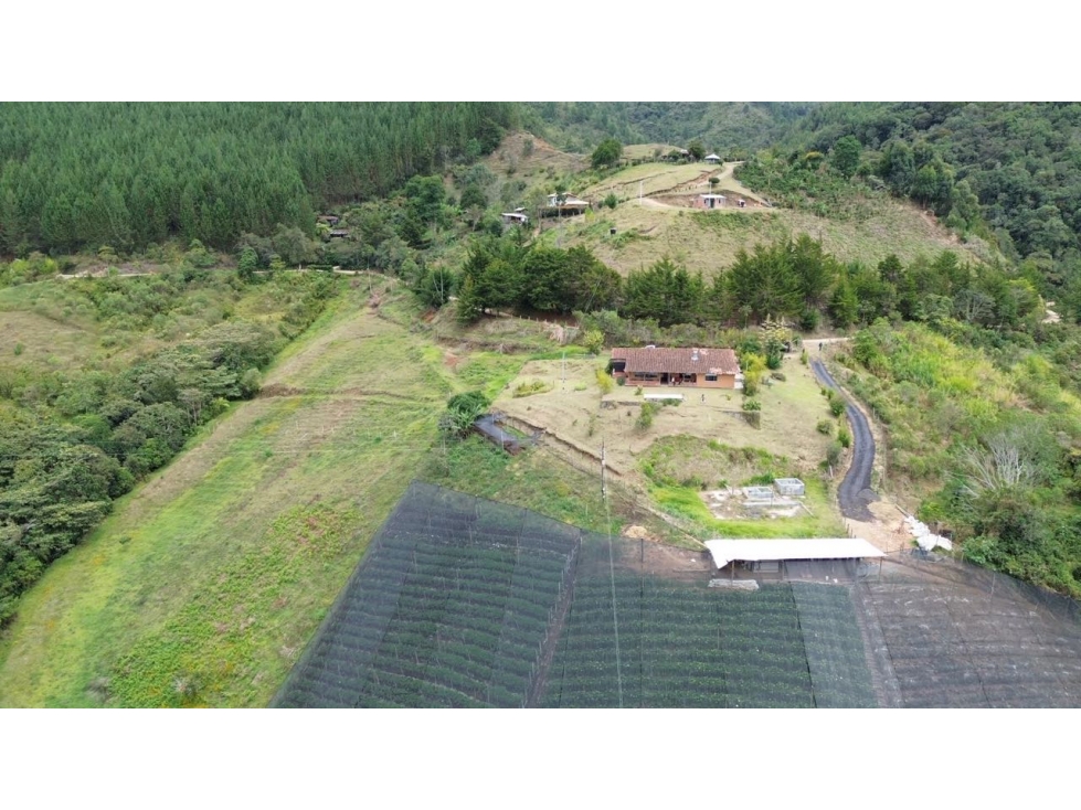 FINCA EN VENTA · EL RETIRO, VEREDA LA LUZ — foto 6