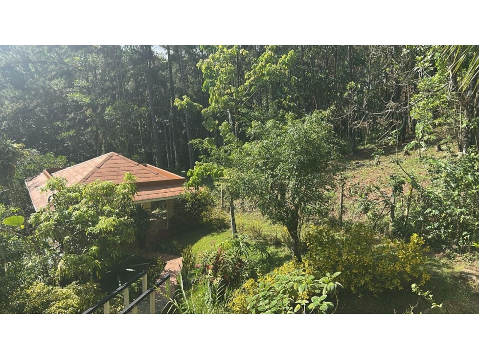 Finca en venta en Altos de Pacora, titulada - 3