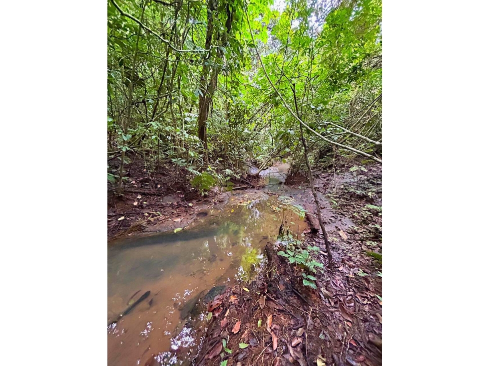 Finca en venta en Altos de Pacora, titulada - 5
