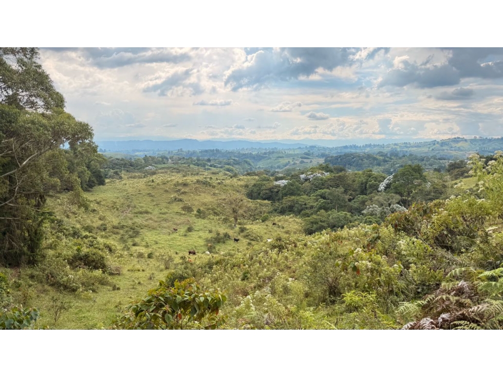 Finca en venta en Circacia, Quindío Reserva Natural y Patrimonio His — foto 4