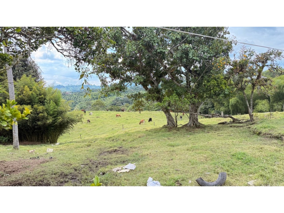 Finca en venta en Circacia, Quindío Reserva Natural y Patrimonio His — foto 6