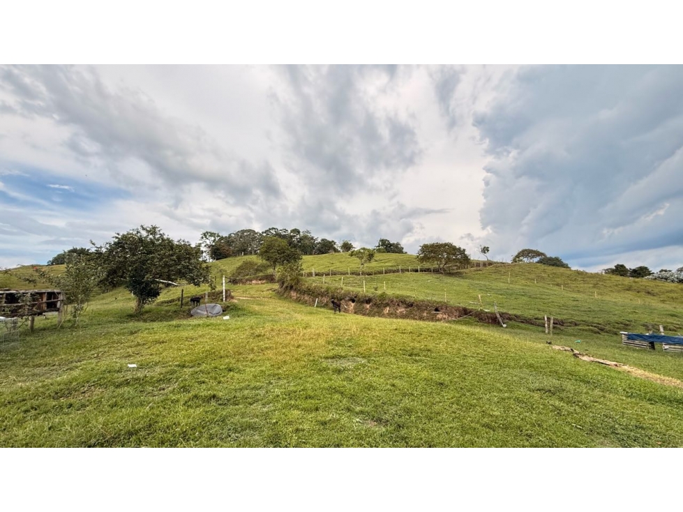 Finca en venta en Circacia, Quindío Reserva Natural y Patrimonio His — foto 5