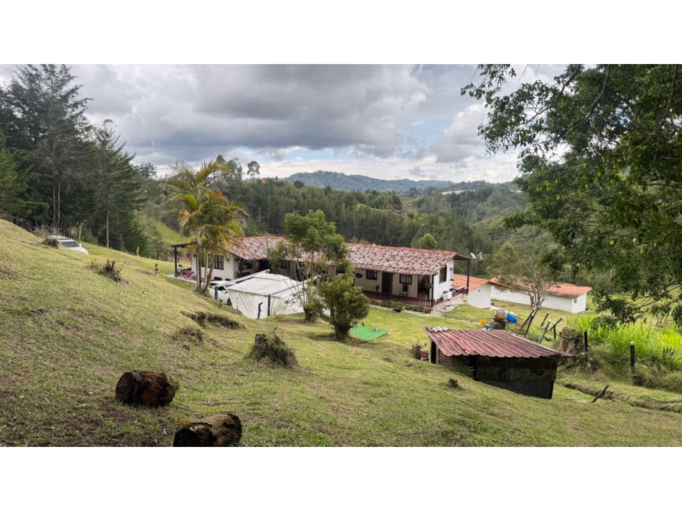 Finca en venta en guarne vereda la enea 42.500m2