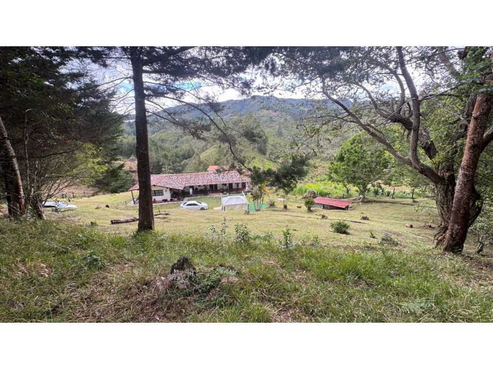 Finca en venta en guarne vereda la enea 42.500m2 — foto 3
