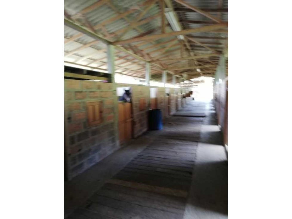 Finca en venta en Juan Cojo Girardota Antioquia — foto 5