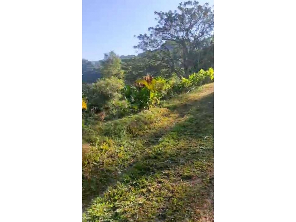 Finca en Venta en Minca Santa Marta — foto 3